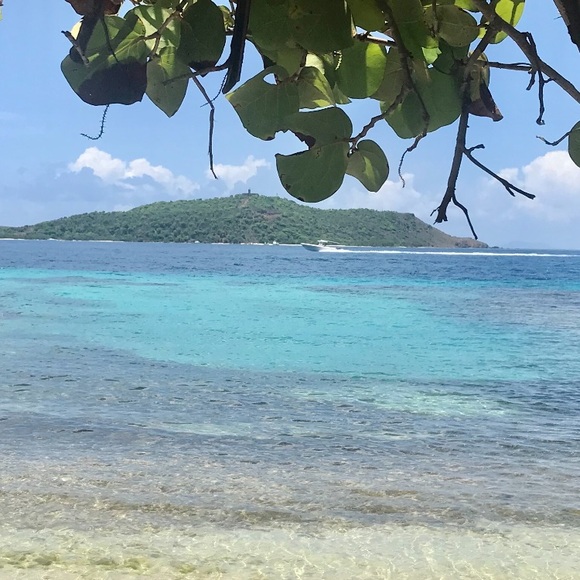 Meet your Posher, Whitney - Picture 8 of 8